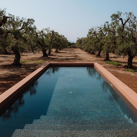 Bed and Breakfast Ozio - Il Trullo Rosso Fasano Zewnętrze zdjęcie