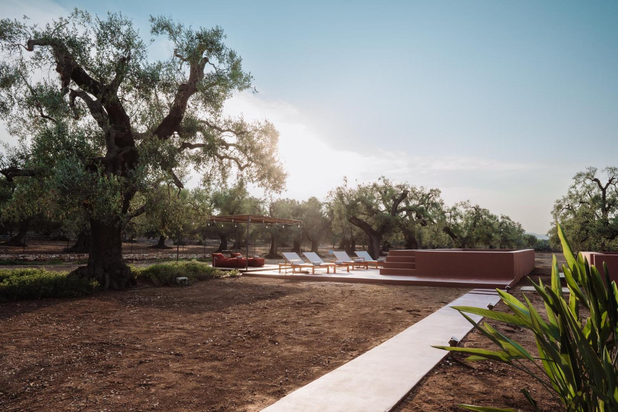 Bed and Breakfast Ozio - Il Trullo Rosso Fasano Zewnętrze zdjęcie