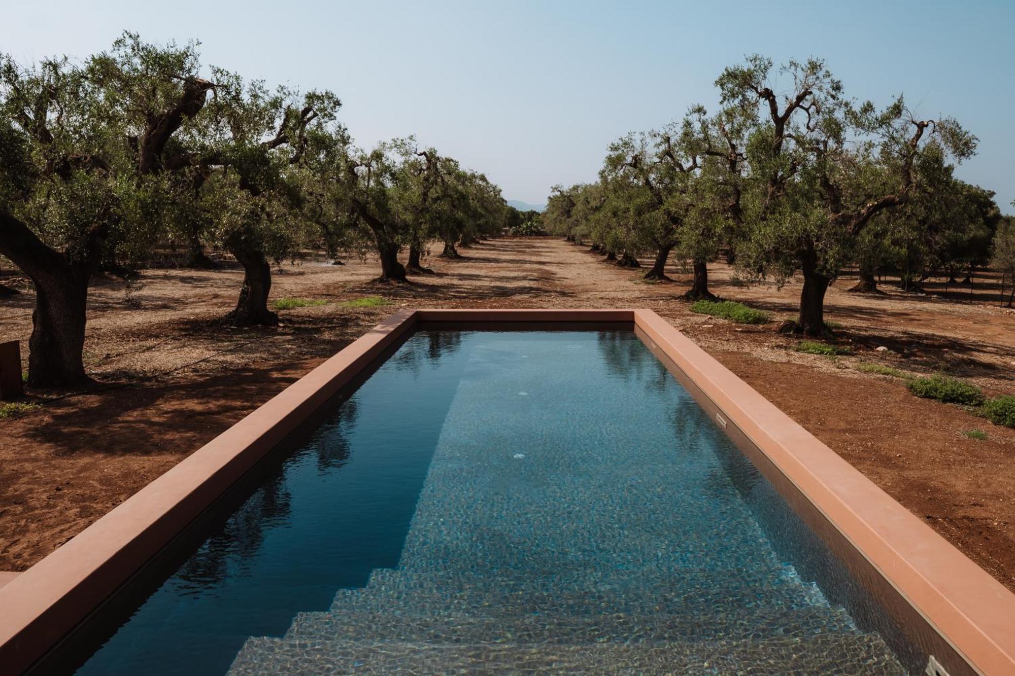 Bed and Breakfast Ozio - Il Trullo Rosso Fasano Zewnętrze zdjęcie